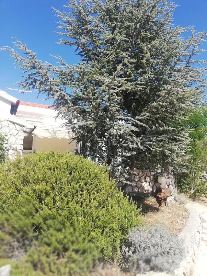 Lavender House Villa Mandre Dış mekan fotoğraf