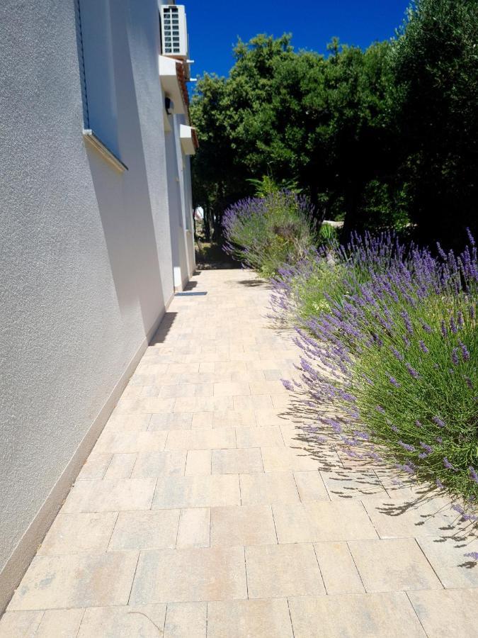 Lavender House Villa Mandre Dış mekan fotoğraf